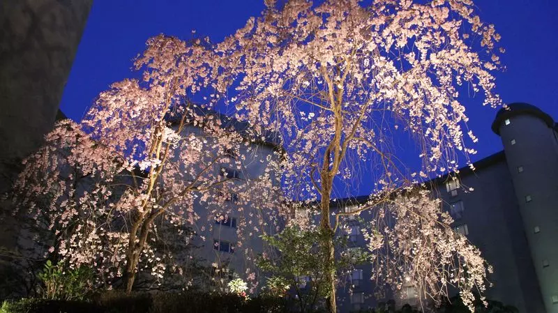 【関西の穴場絶景スポット】京都の春をこだわりの建築と堪能!春の絶景旅を満喫できる『ザ・プリンス 京都宝ヶ池』PR 1枚目