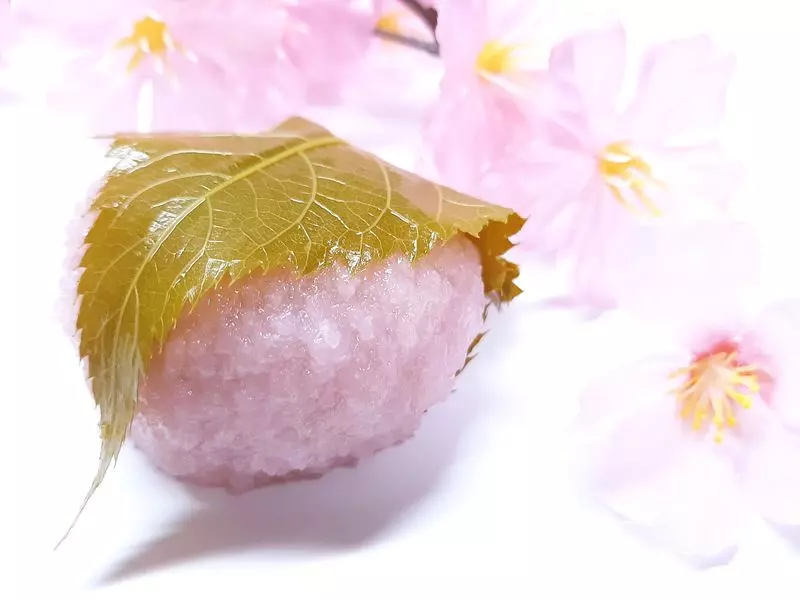 京都の春を満喫!中庭のカフェも楽しめるおすすめプラン 1枚目