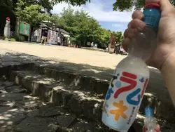 夏の高尾山の楽しみ方！頂上から下山後までオススメをご紹介！