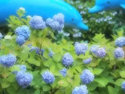 【穴場スポット】水族館と乗り物だけじゃないシーパラの楽しみ方！