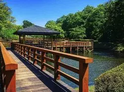 【宮城】親子連れにおすすめ！自然感じる憩いの公園♪