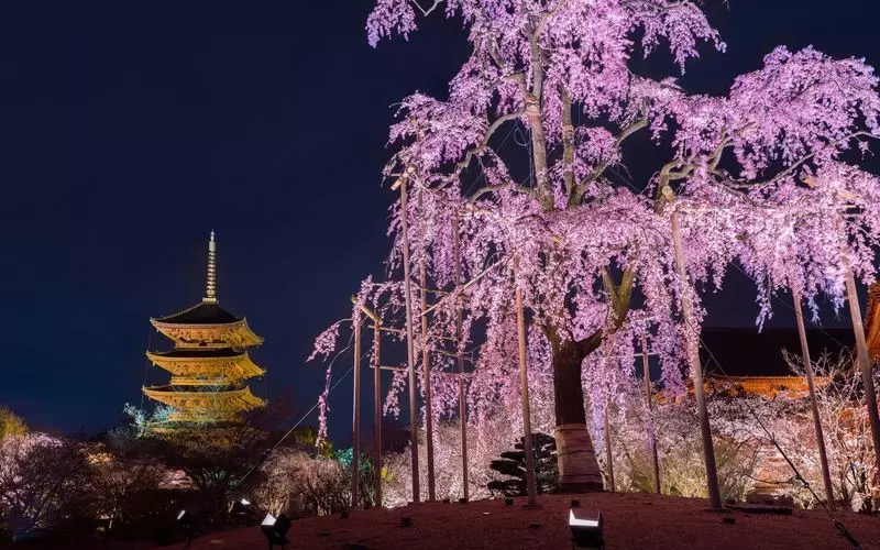 京都は夜まで楽しめる観光地！最後までエンジョイしよう 1枚目