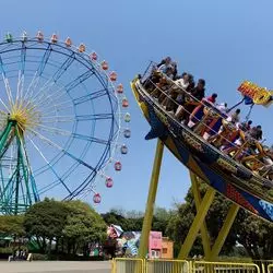 【茨城】“心と体のリフレッシュ”を♪国営ひたち海浜公園
