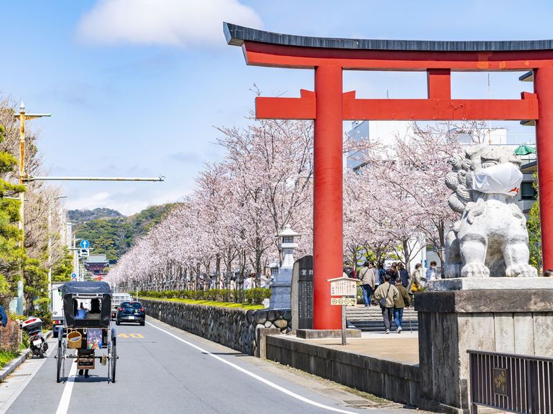 水彩画「円覚寺社務所 （自然、風景、地球、世界、日本、夏