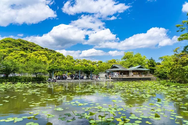 1. 鶴岡八幡宮｜源頼朝ゆかりの由緒ある神社 2枚目