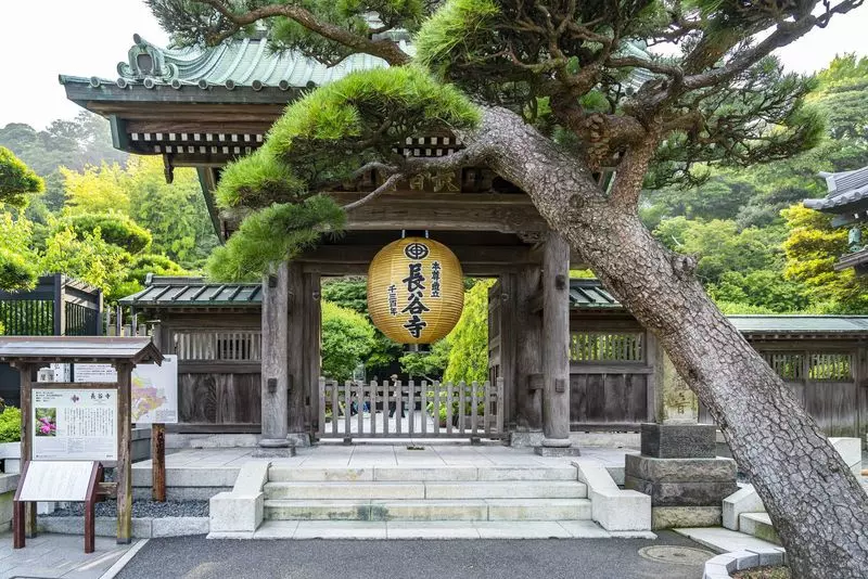 2. 長谷寺｜1年を通して「花の寺」と親しまれる寺 1枚目