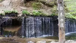【長野県・軽井沢】涼を求めて♪避暑地・軽井沢へ日帰りドライブ