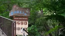 【東京・等々力】都心とは思えない！自然豊かな別世界、等々力渓谷で森林浴を楽しもう