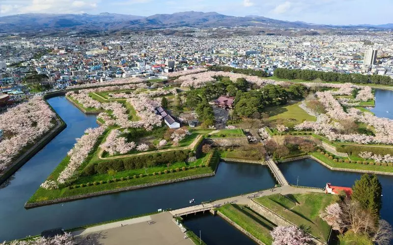 5. 五稜郭公園|ソメイヨシノが咲き誇る姿は圧巻 1枚目