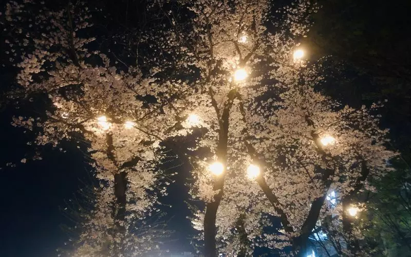 夜はまた雰囲気がガラッと変わります♪ 2枚目