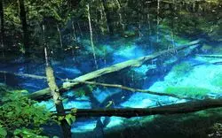 北海道の夏の観光はココがおすすめ！絶対に外せないスポット5選
