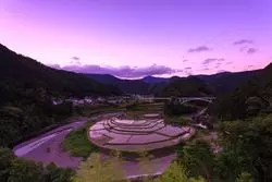【1分で巡る絶景】迷路のように入り組んだ水田が美しい棚田「あらぎ島」（和歌山）