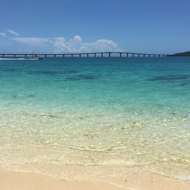 宮古島で美味しいご当地グルメを食べよう！ 1枚目