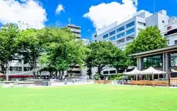 池袋東口の人気公園！「南池袋公園」のおすすめプランをご紹介☆