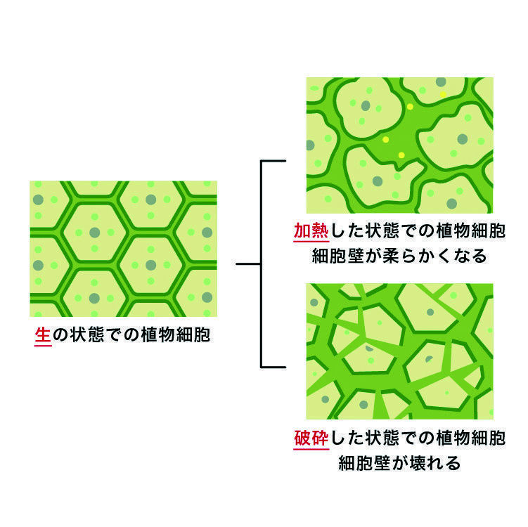 β-カロテンを摂る“食べる”紫外線ケア！おすすめの野菜や効率的な摂り方を紹介の画像