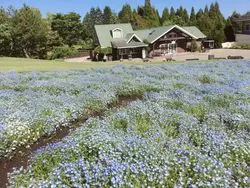【大分県】くじゅう花公園で綺麗なお花を見ながらお散歩☆