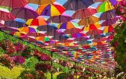 【一度は訪れたい絶景】砂漠の中の花園。世界中の女子の視線を奪うミラクルガーデン