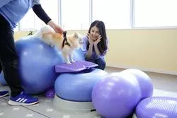 【千葉】レジーナリゾート鴨川で愛犬旅行！犬用フィットネスやワンコケーキなどの魅力を紹介