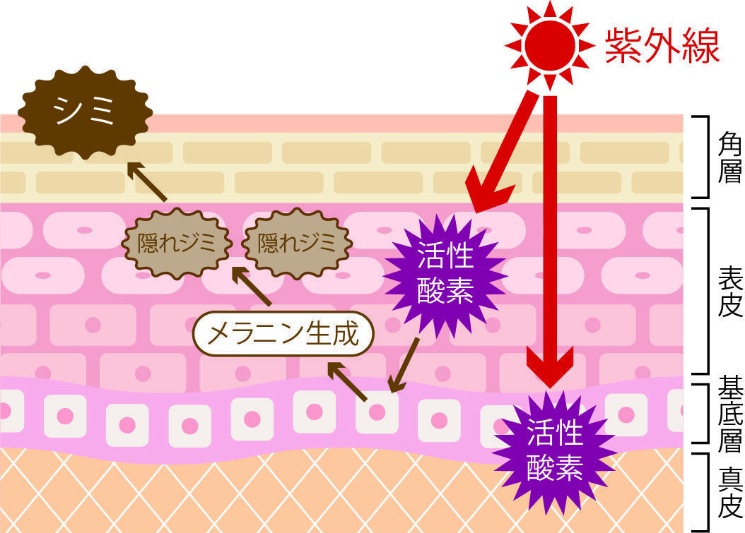 β-カロテンを摂る“食べる”紫外線ケア！おすすめの野菜や効率的な摂り方を紹介の画像