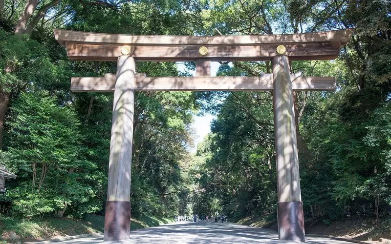 気持ちのいい参道「明治神宮」 1枚目