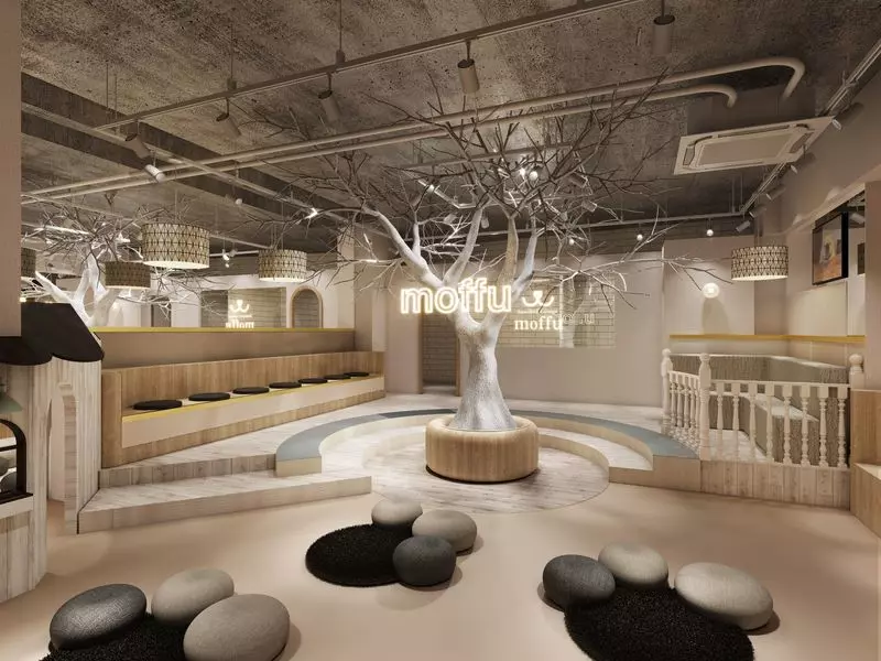 「サモエドカフェmoffu 原宿店」もふもふ天国!10匹のサモエドとたわむれられる【PR】 2枚目