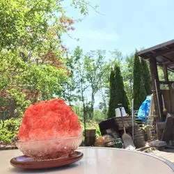 北海道の旬のフルーツで食べる♡絶品かき氷【花氷】