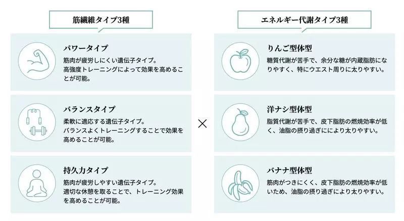 オンラインダイエットおすすめ8選！コーチングや食事指導もていねいにサポートの画像