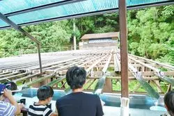 【兵庫】夏の風物詩と言えば！流しそうめんで夏を満喫しよう♪