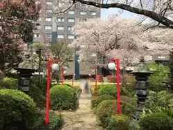 【品川の桜は今が見頃】"高輪の杜"が贈る桜まつりを五感で味わおう