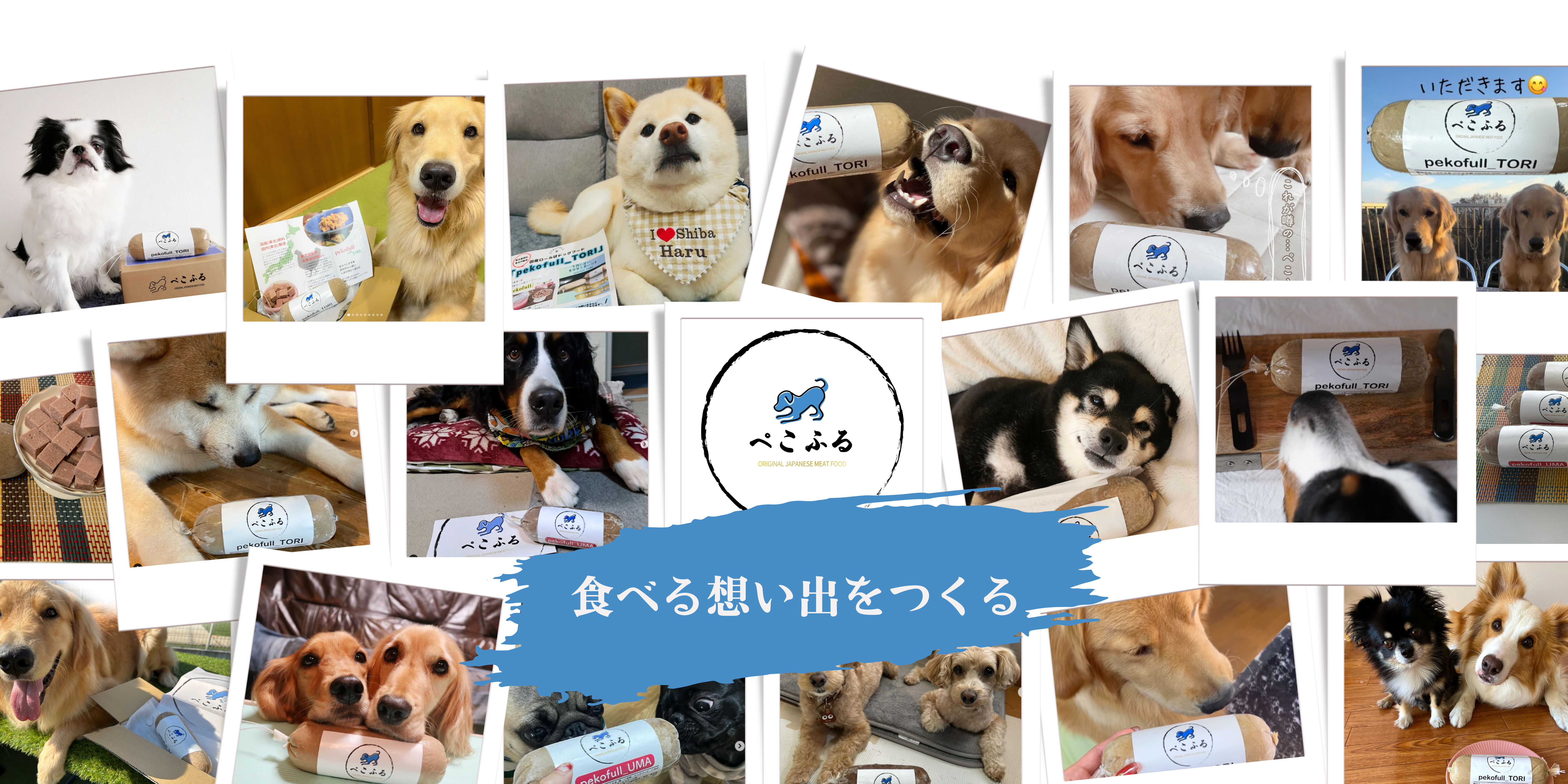 【2024】国産ペットフードおすすめ10選！無添加フードやグレインフリーを紹介	の画像