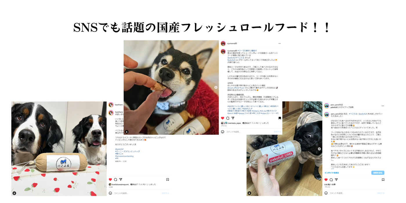 【2024】国産ペットフードおすすめ10選！無添加フードやグレインフリーを紹介	の画像