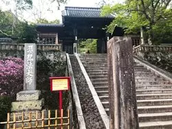 伊豆の小京都。「修善寺」の温泉街を満喫しよう！