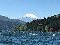 【箱根】ゆっくり自然を満喫！子供も喜ぶ水族館で癒されよう♪
