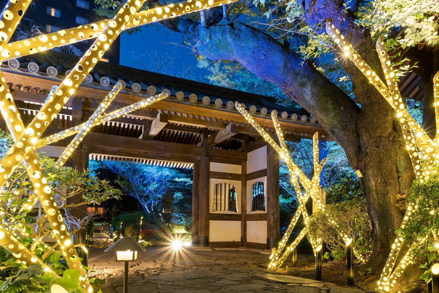 「タイムトリップ絶景夕涼み」で日本庭園を彩る夏の夜を満喫の画像