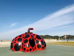 夏に行ってみたい、瀬戸内アートの島、直島へ。