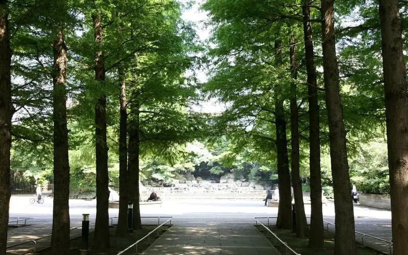 池袋のおすすめ公園3. 【東口】サンシャインシティのふもと『東池袋中央公園』 1枚目