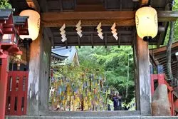 【京都】短冊に願いを込めて…☆貴船神社の七夕笹飾りライトアップ◎