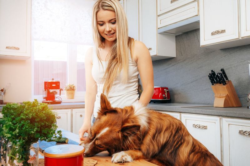 犬はささみを毎日食べてok おすすめ商品や与え方などレシピもご紹介 Aumo アウモ