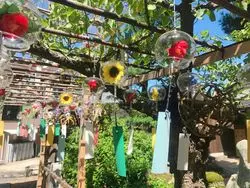 この夏行きたい！京都の観光スポットをご紹介♪