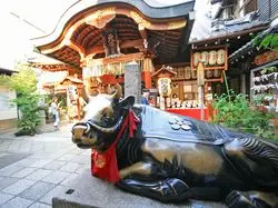 【京都の珍風景】こんなの見たことない！と思わず言ってしまう神社