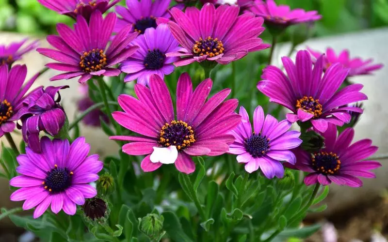 大人も子どもも楽しめる公園！ 1枚目