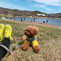 【福島・那須】愛犬と一緒に♪アクティビティ満載旅行に行っちゃおう