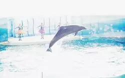 海をバックにイルカショー☆新江ノ島水族館を徹底解剖♪