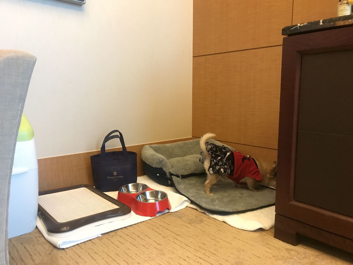 の画像