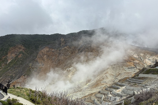 【箱根】首都圏観光にピッタリの『ホテルメトロポリタン川崎』を拠点に箱根を満喫！の画像