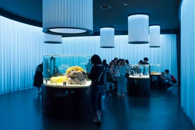 27. NIFREL(吹田市)|大阪で新感覚ミュージアムを体感しよう 2枚目