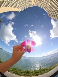 ハワイで定番フォトジェニック巡り♡