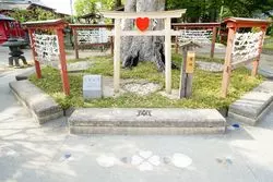 【女一人旅】一人でも楽しめる！福岡おすすめスポット＆グルメ