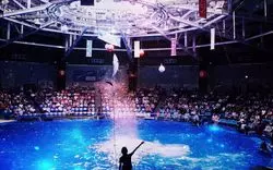 【横浜の水族館】八景島シーパラダイスの見どころ4選を紹介！