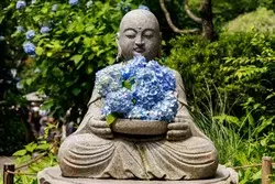 川崎から最短で約32分！アジサイと旬のグルメで心潤う6月の「鎌倉」へ行ってみた